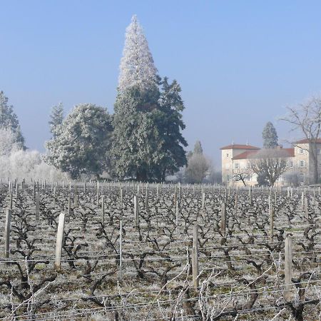 Blacé Chateau De Grandmont Chambres D'Hotes מראה חיצוני תמונה